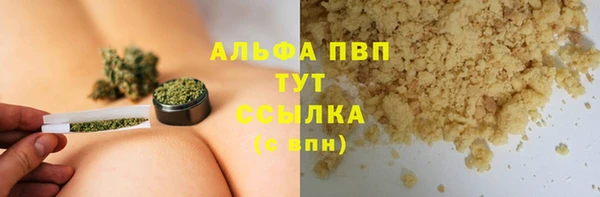 прущие грибы Белокуриха